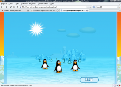 Salvando jogos em flash para seu pc