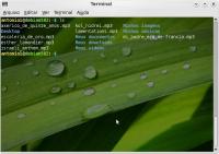 Linux: normalize-audio - ajustando a amplitude de seus mp3/ogg