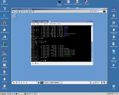 Linux: VNC no SuSE