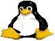 Israel Eriston Filgueira de Araujo