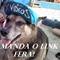 Leonardo r