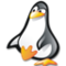 josinaldo