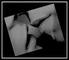 Foto de walker alves silva