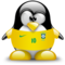 stratomen