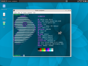 Gentoo Laptop